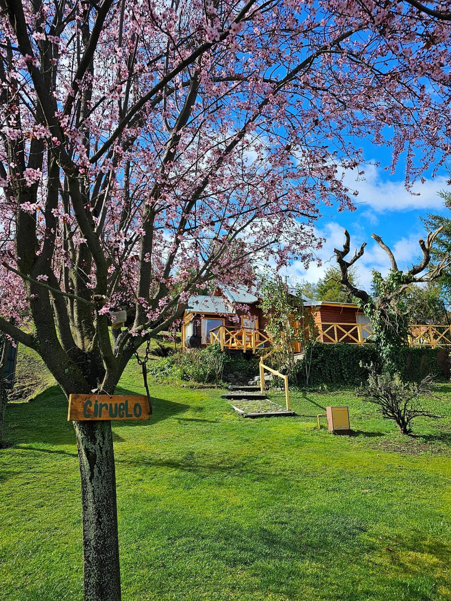 La Yaya - Villa Turismo El Bolsón エクステリア 写真